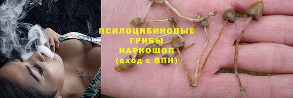 твердый Покачи
