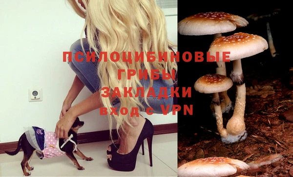 дмт Покров